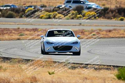 media/Nov-16-2024-Extreme Speed (Sat) [[6587d07cc4]]/Gold Group/Session 2 (Turns 3 and 5)/